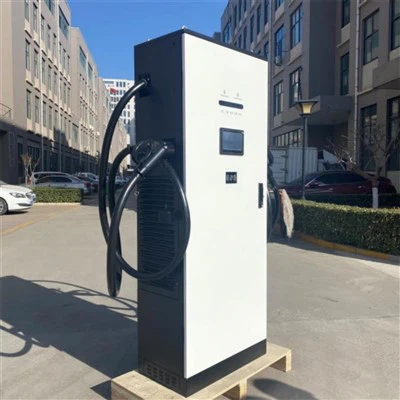 CCS Chademo Commercial EV di ricarica in vendita